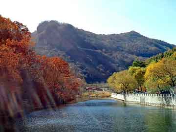 新澳天天开奖资料大全旅游团，茌平seo外包